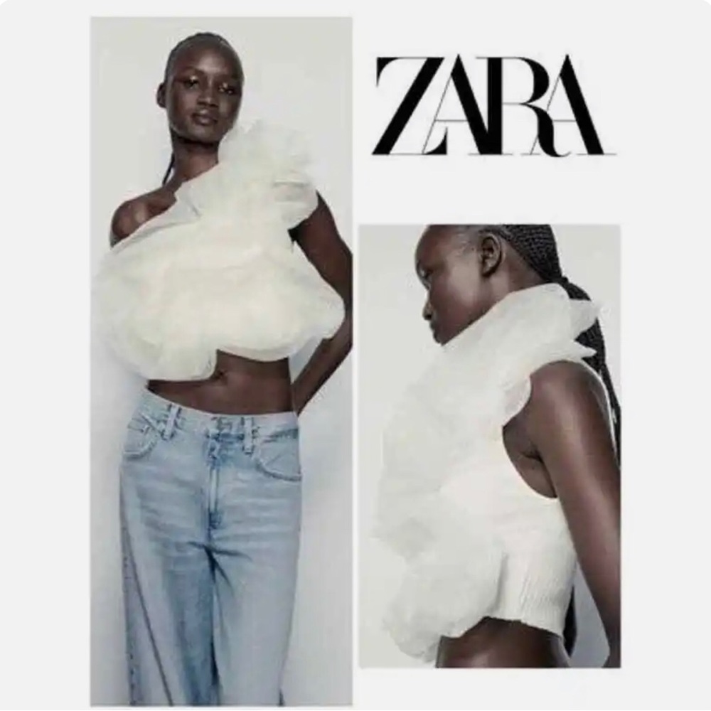 Zara Ribbed Knit Cropped Organza Ruffle Top Bloggeres Favorite